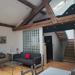 Loft Viarhona, Grand Loft En Centre-ville Habitación en casa particular
